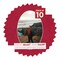 Red Suede Mat Board for 28x40 Frames - Oval Opening for 24x36 Photos